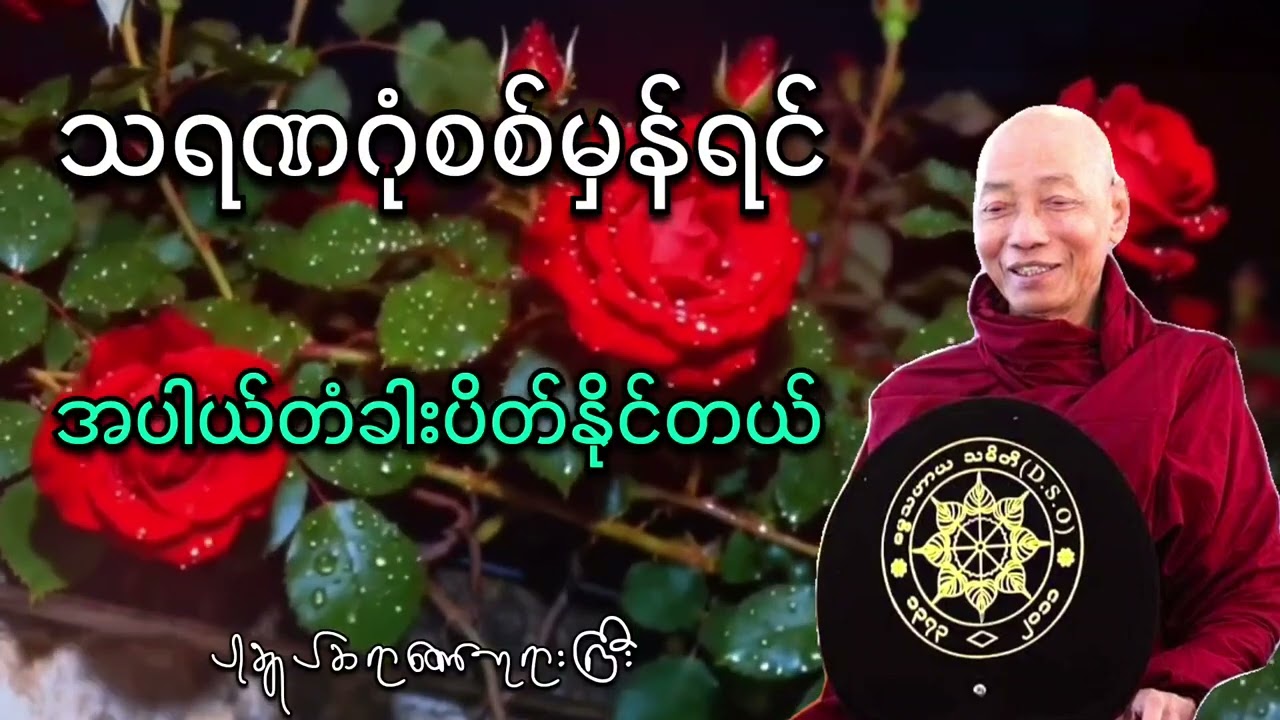 သရဏဂုံစစ်မှန်ရင် အပါယ်တံခါးပိတ်နိုင်တယ် #ပါချူပ်ဆရာတော်ကြီးတရားတော်