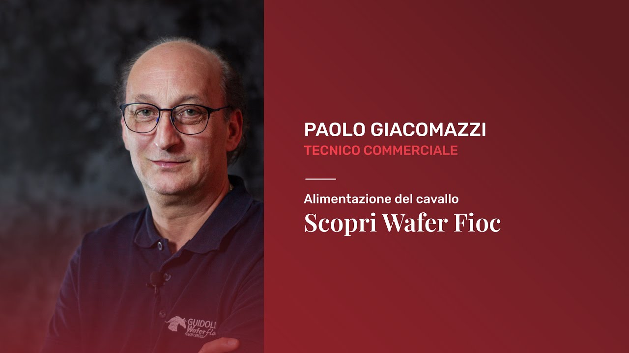 Alimentazione cavalli: cinque cose che non sai su Wafer Fioc