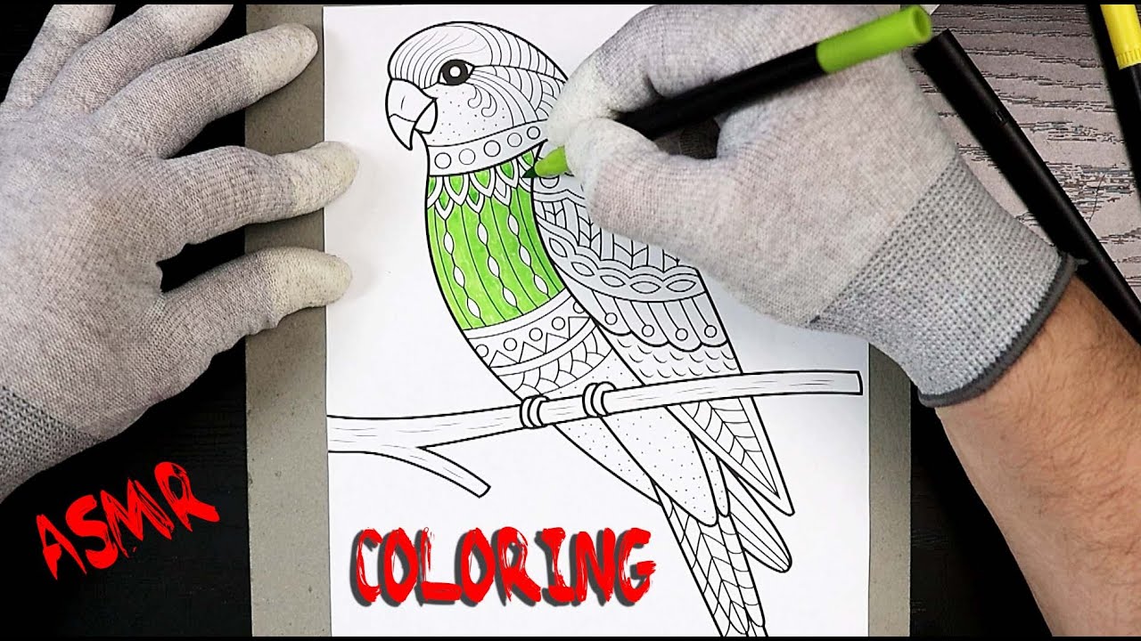 ASMR Coloring Animals Parakeet