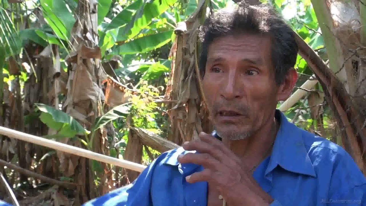 Macario Canare 🗣️🌿 | Memoria indígena y la existencia de pueblos en aislamiento en Pilón Lajas.