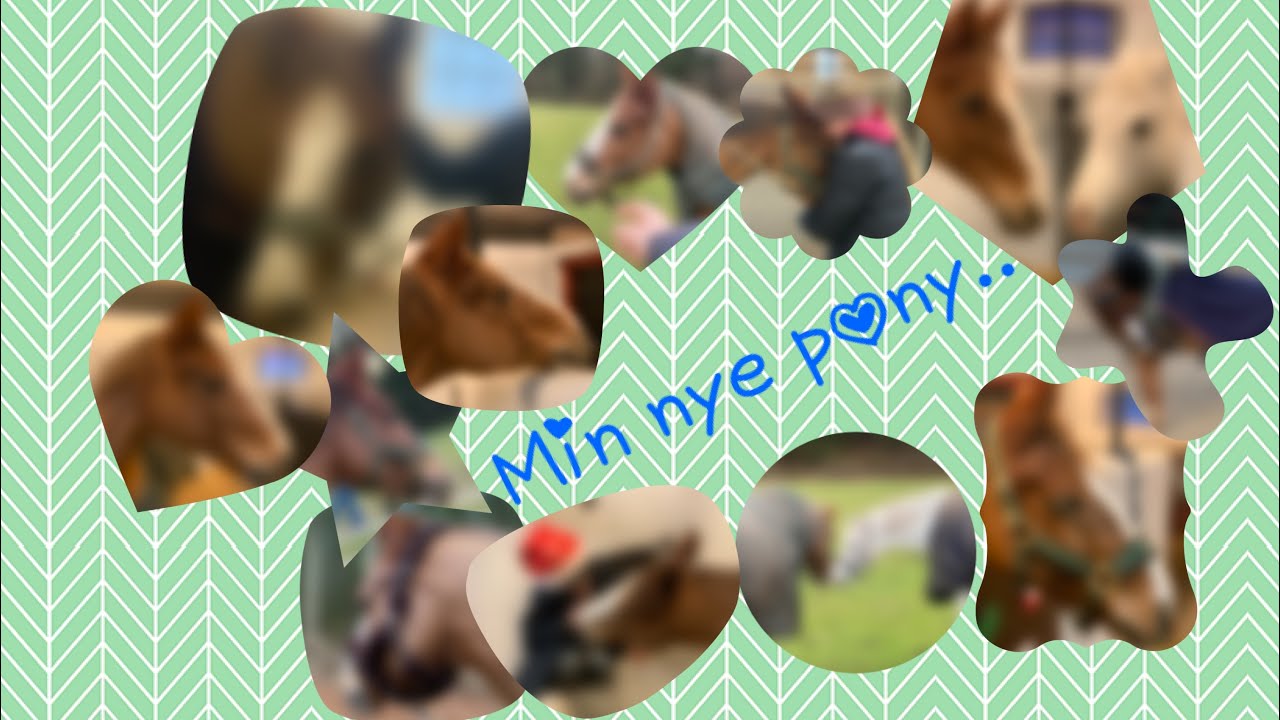 Min nye Pony….