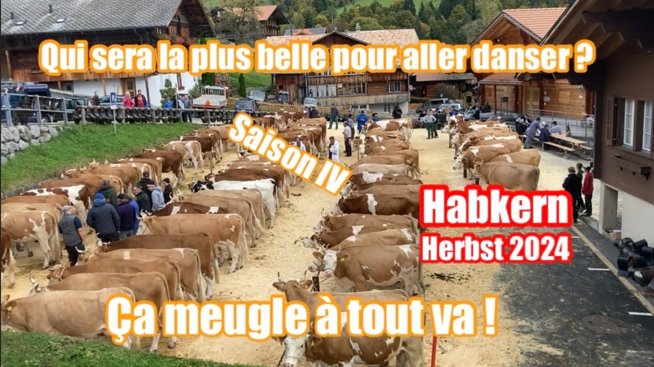 Habkern - Qui sera la plus belle pour aller danser ?