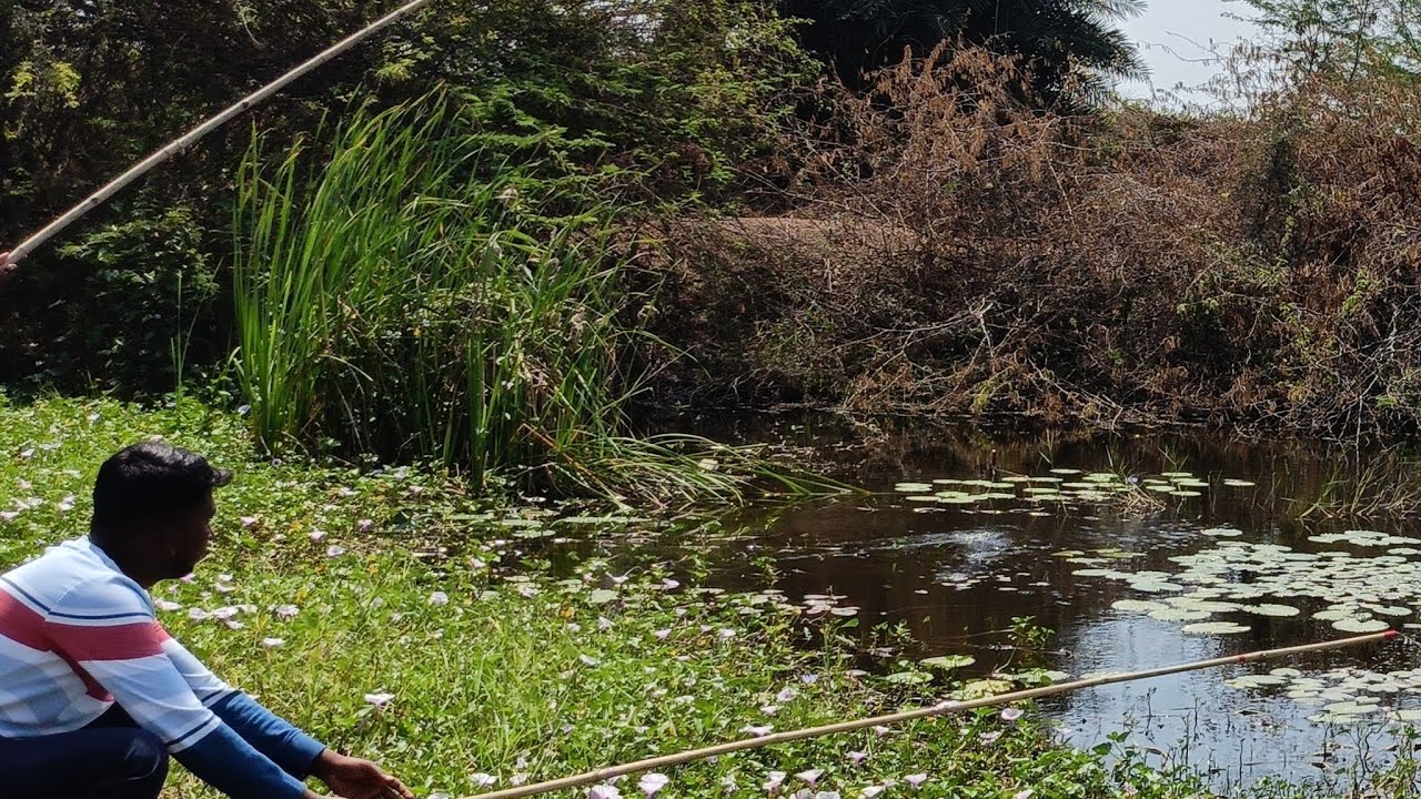 fishing live