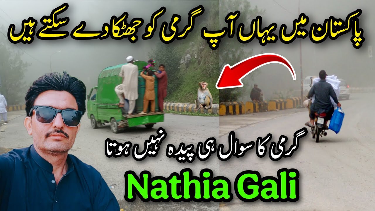 Nathia Gali Today | Ayubia Weather Today | Nathia Gali Weather Today | Murree Live Today