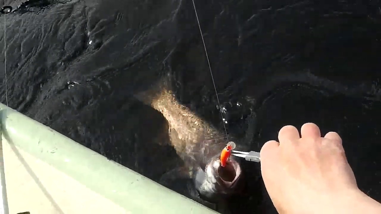 Iso-ruuhijärvi kesäkauden avaus-20