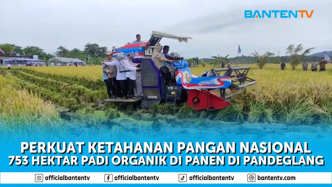 753 HEKTAR PADI ORGANIK DI PANDEGLANG DIPANEN