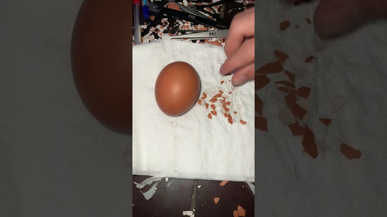 Raw egg peeling challenge : perfect Live