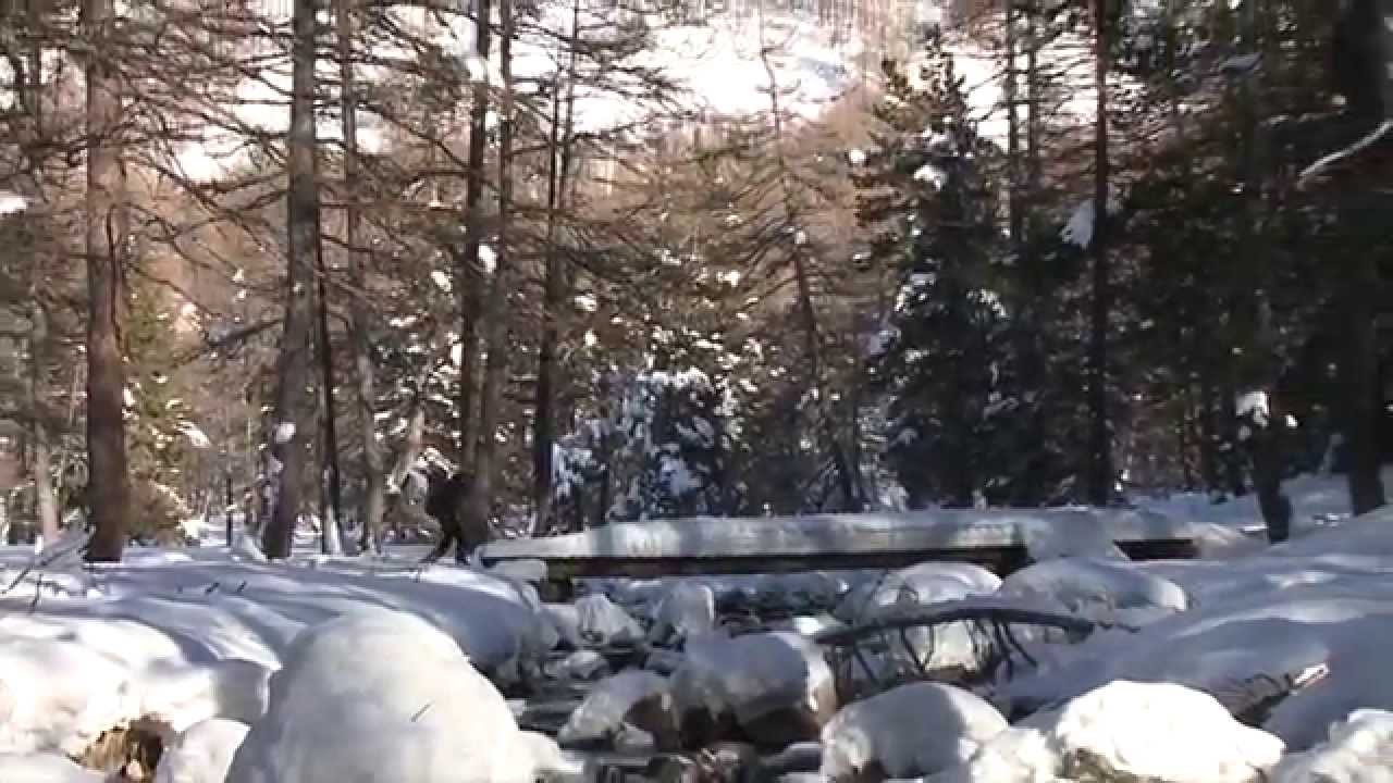 Chroniques du Mercantour - Saison 1 - Episode 4 : Cédric Robion, photographe animalier