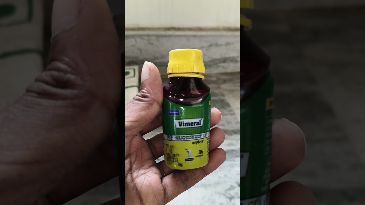 Vitamin dena kitna jaroori hain bird ko....💚&hearts;️🦜🦜#budgies #shortvideo #birdslover