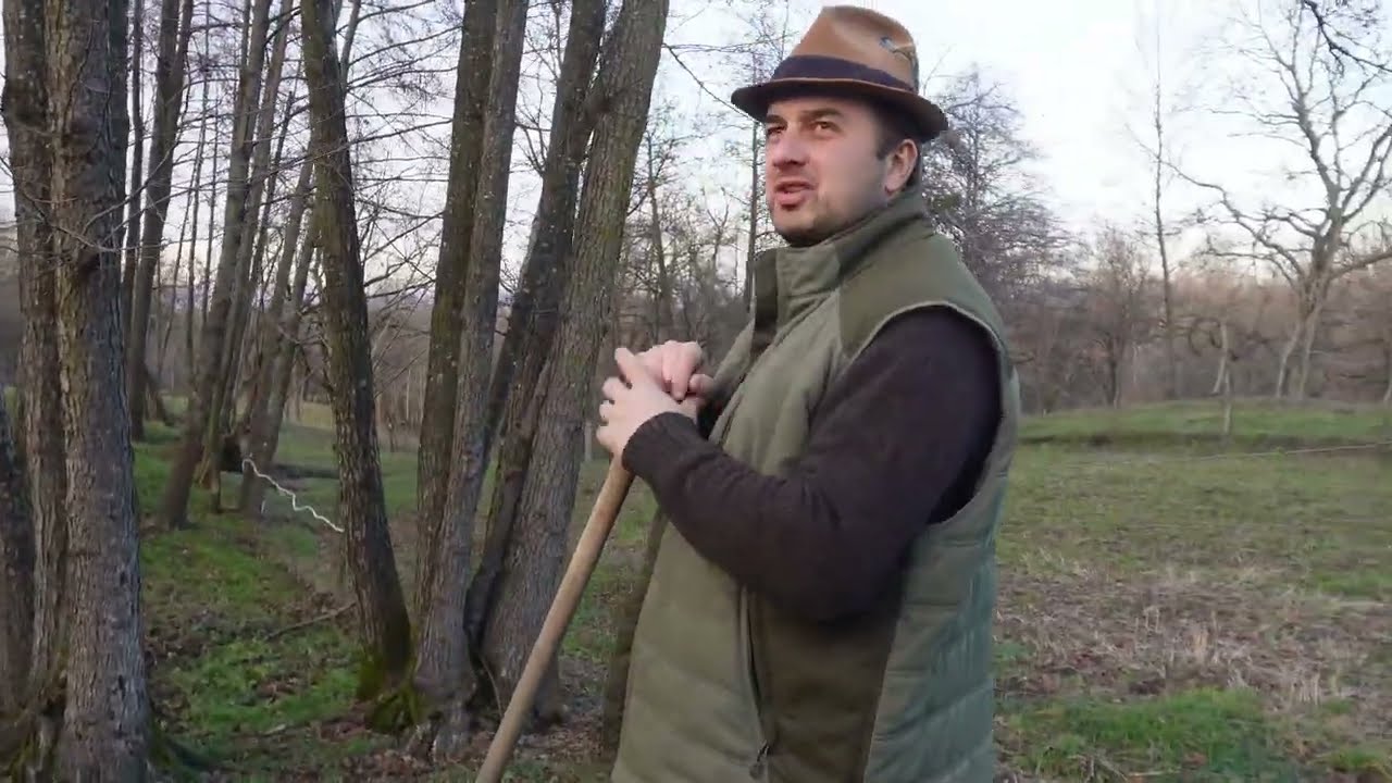 Представляем наших коз! #CityCitizenLaTerra 2025!