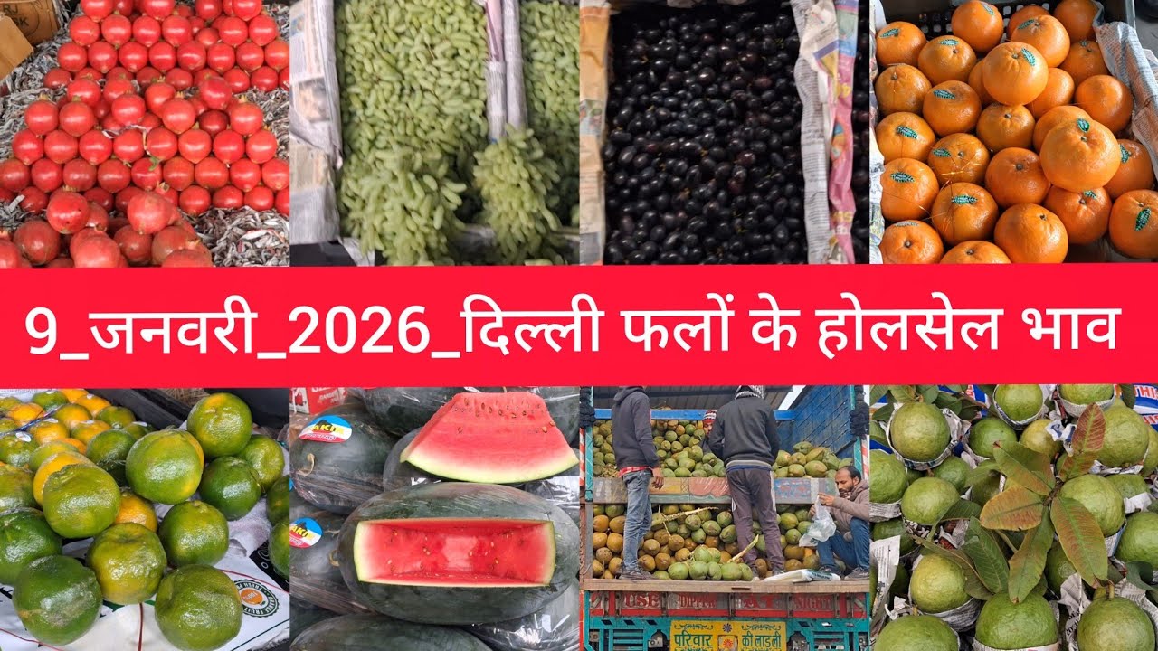 January 9, 2026 दिल्ली फलों के भाव Delhi fruit market price APMC fruit market price #fruitmarket