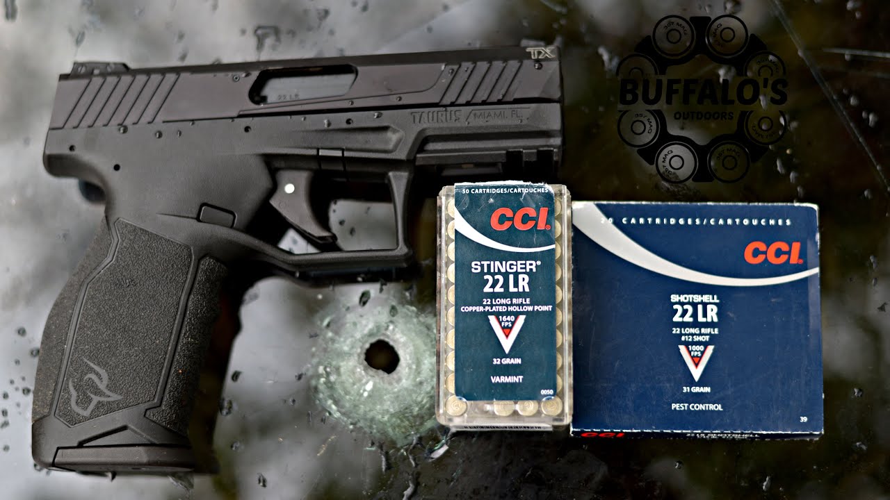 Taurus TX22 and CCI Ammunition ~ Windshield