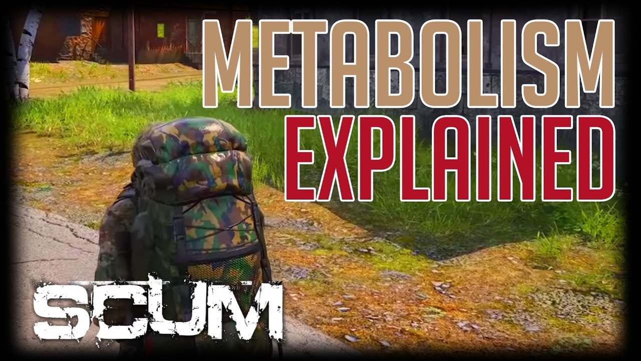 SCUM - Metabolism Guide