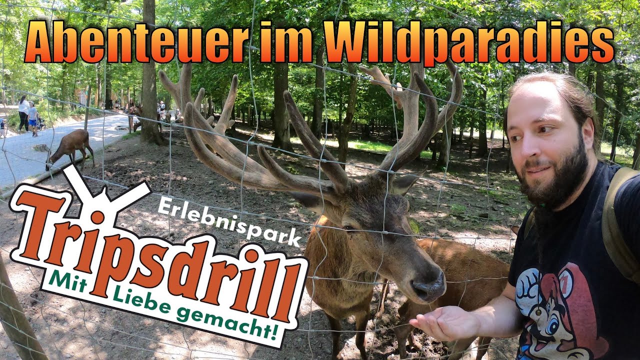 Wildparadies Tripsdrill - Ausflugstipps in Baden-Württemberg - VLOG