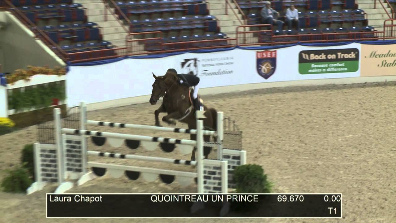 95 QUOINTREAU UN PRINCE Laura Chapot, Class 207 Open Jumper II 2a