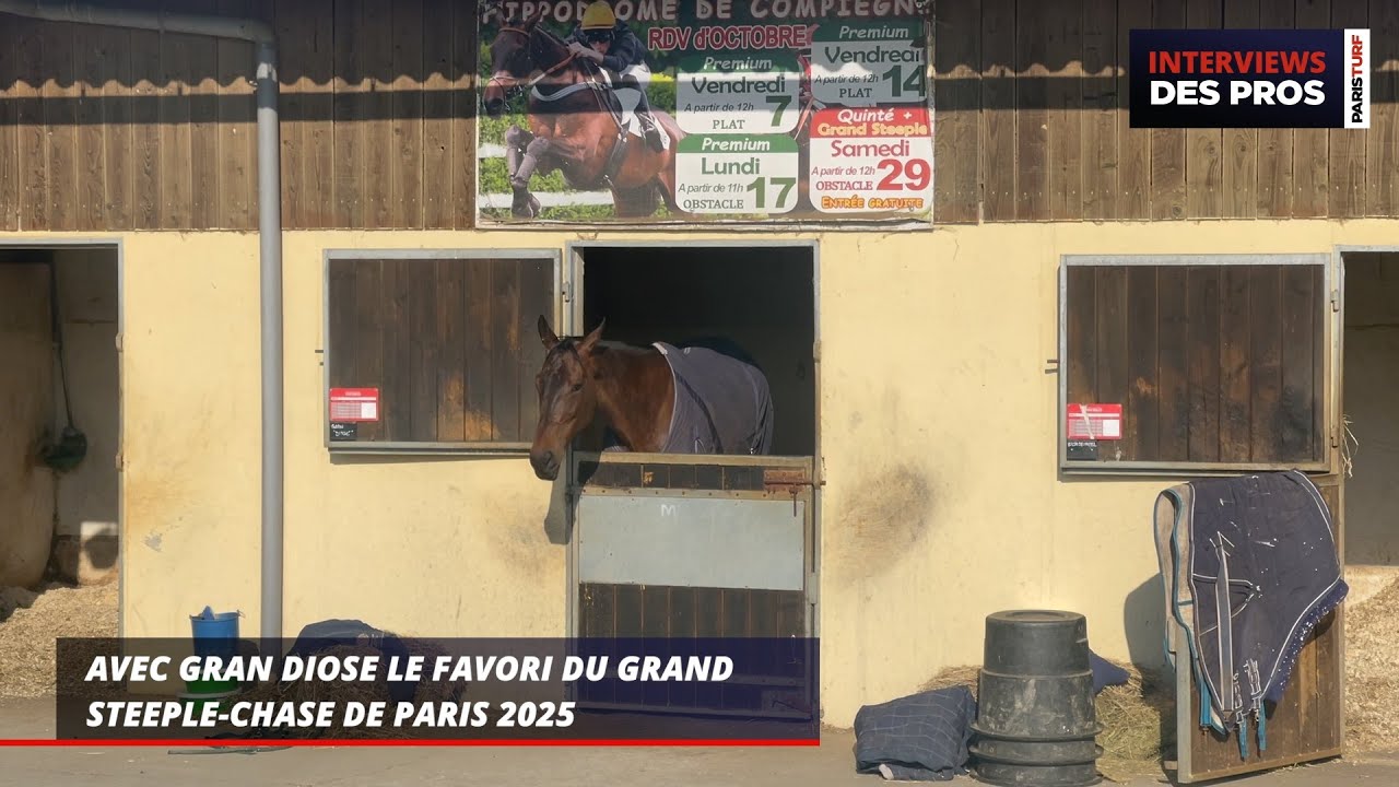 Avec Gran Diose le favori du Grand Steeple-Chase de Paris 2025