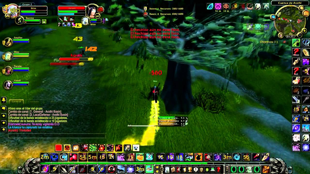 Cazador Punteria 80 Wotlk PvP 3.3.5 (ibiza)