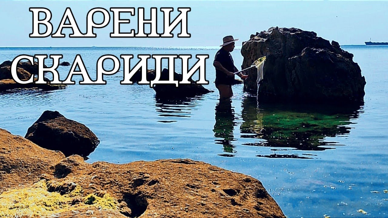 ВАРЕНИ ЧЕРНОМОРСКИ СКАРИДИ(МОРСКИ ЧЕРЕШИ)! ЧУДНО МЕЗЕ ЗА СТУДЕНА БИРА И ОХЛАДЕНО БЯЛО ВИНЦЕ! ЧУДО!!!
