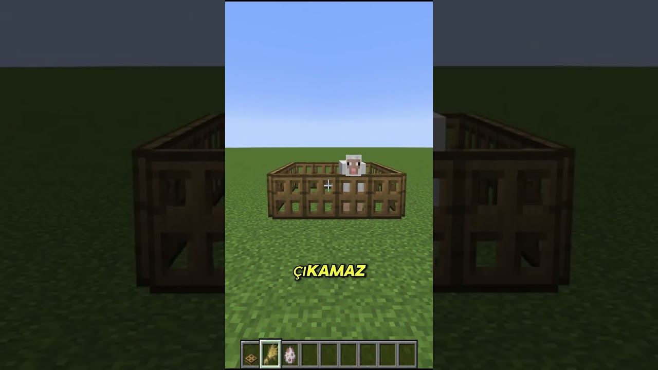 MİNECRAFTTA İLGİNÇ BİLGİLER 