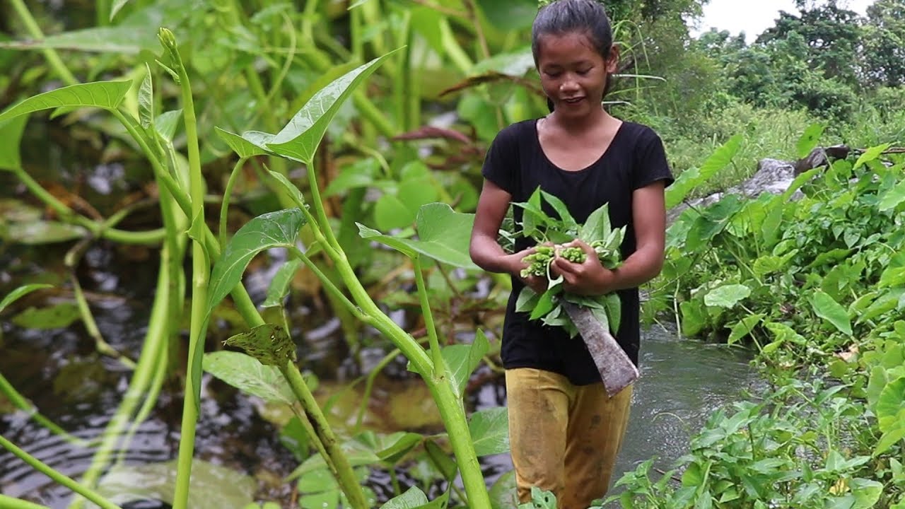 Find meet Water spinach for food - Cook Water spinach eat delicious, Primitive survival skills ep 04