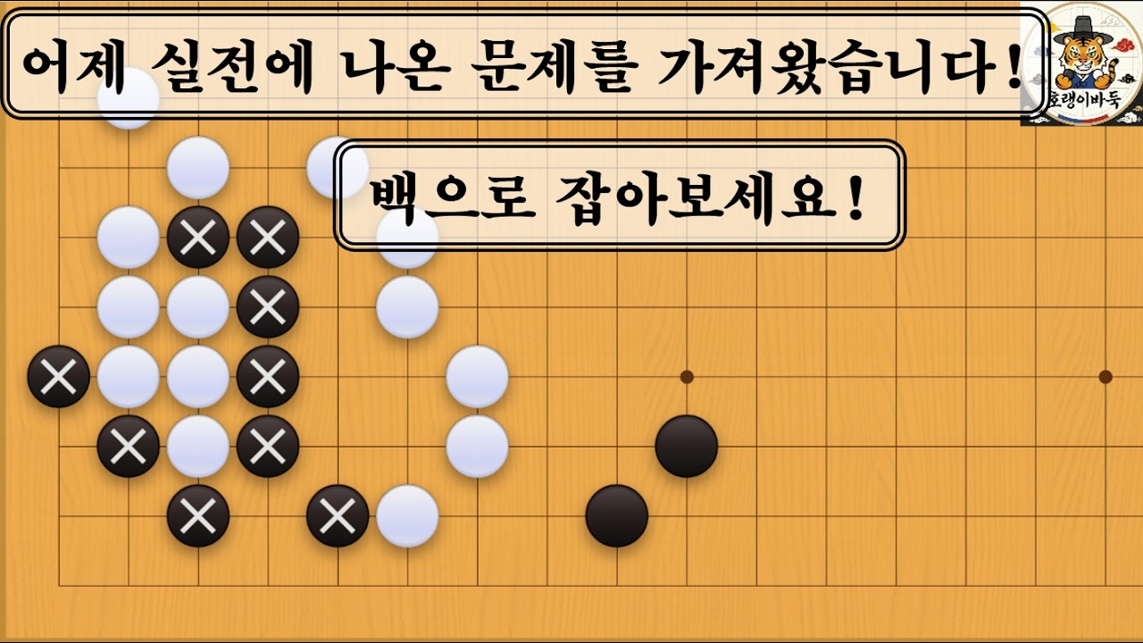 [바둑 사활] 어제 실전에 나온 아주 묘한 사활을 가져왔습니다!