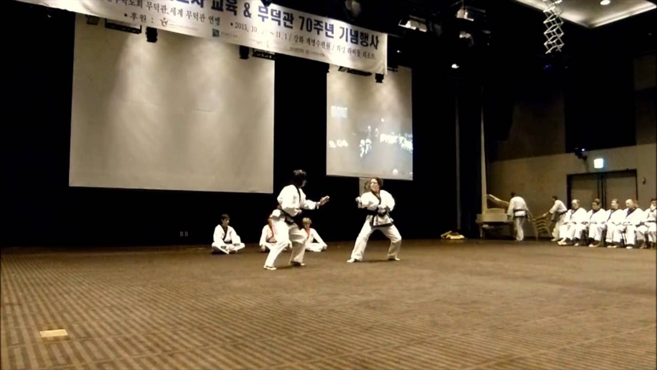 Moo Duk Kwan70th - France Soo Bahk Do demo