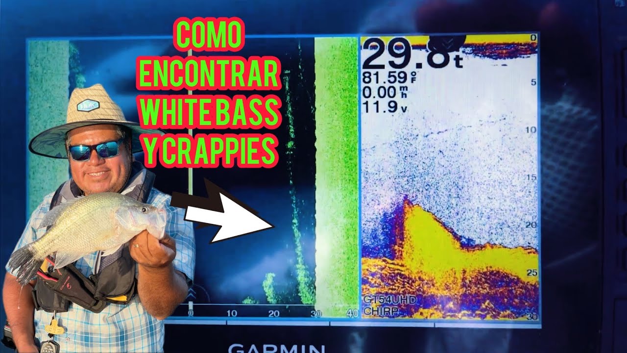 Como usar un sonar de pesca [Fish Finder ]para encontrar crappies y white bass