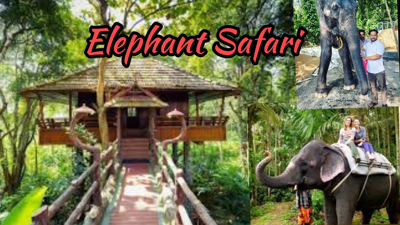 Kalpavanam Elephant Park | kumily | Thekkady Elephant Safari | Elephant Camp in Kerala | யானை