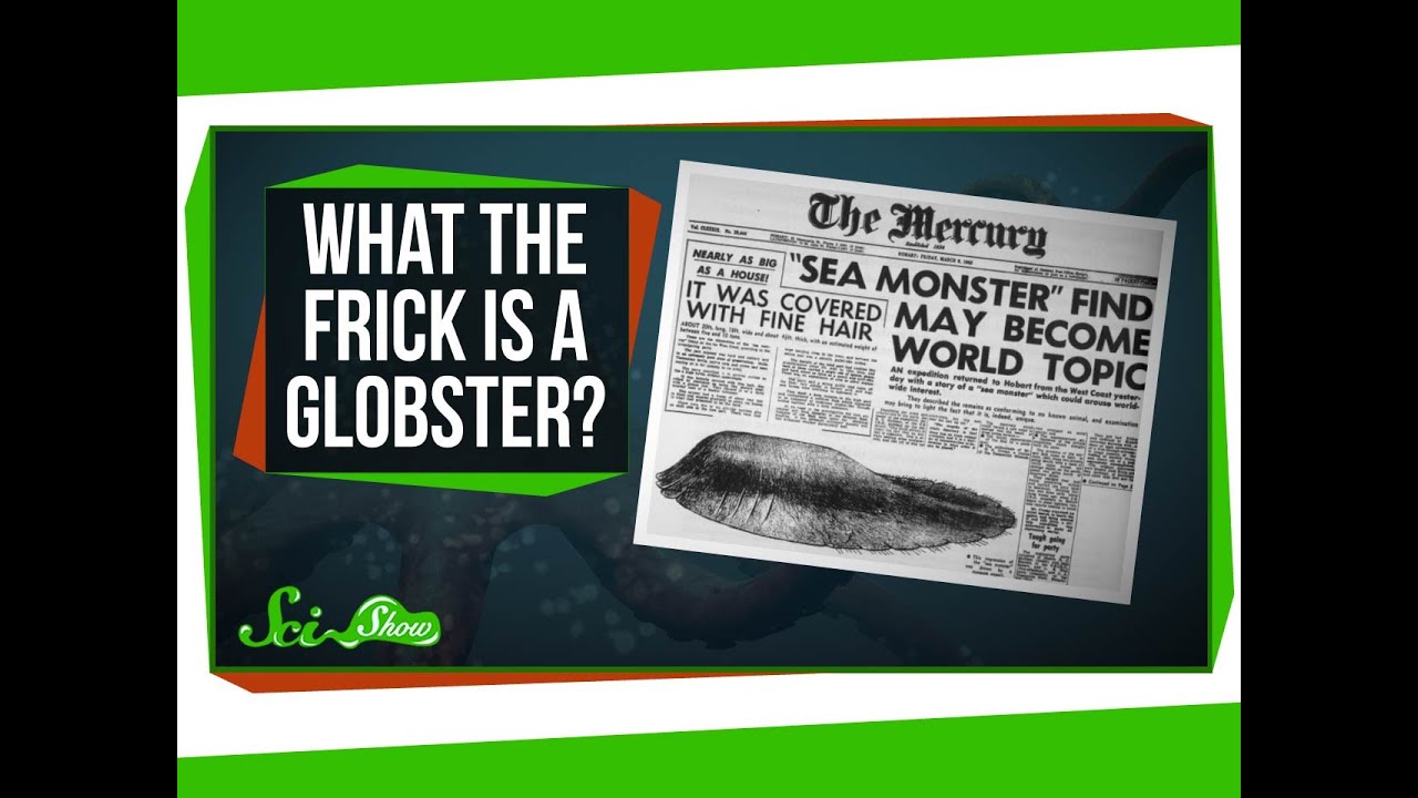 What the Frick is a Globster?