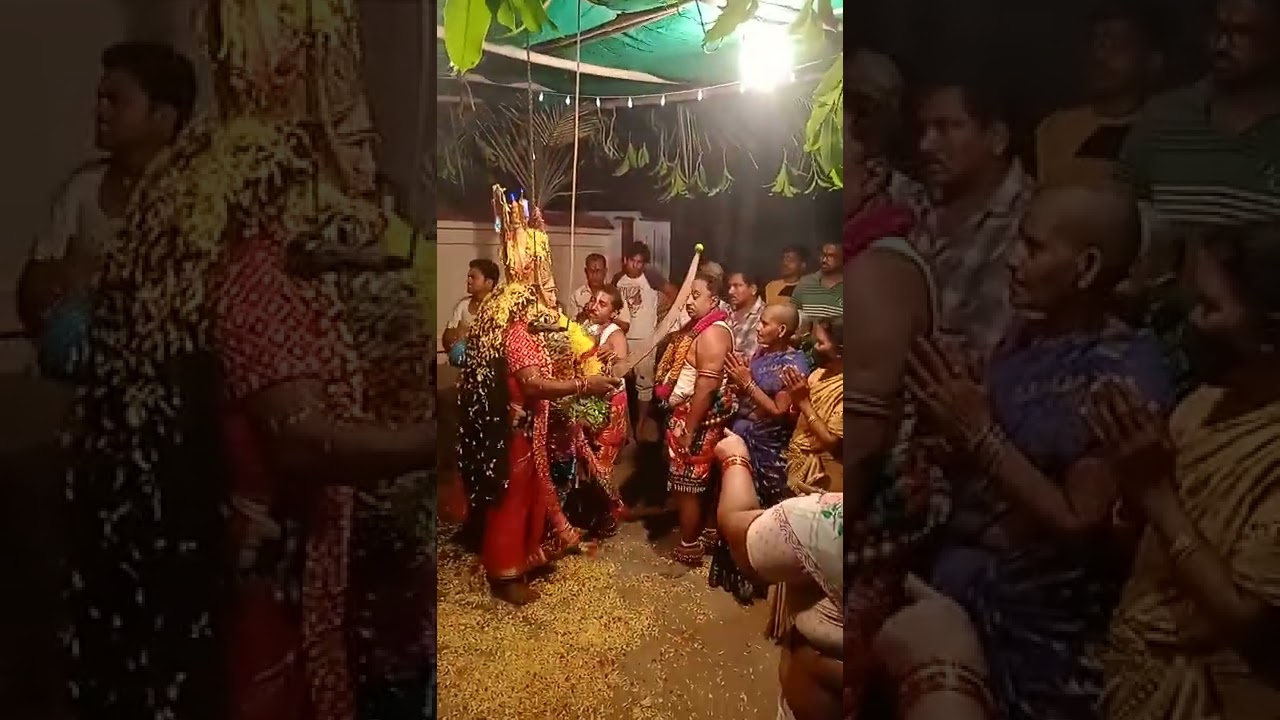 పెయ్యల పాపారావు గారు కొలసంబరం  కాపవరం 9490154487 9640327443