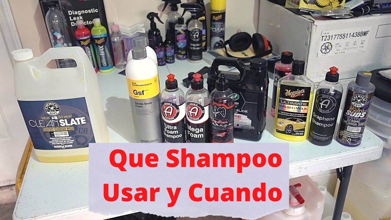 Que Shampoo Usar y Cuando Usarlo