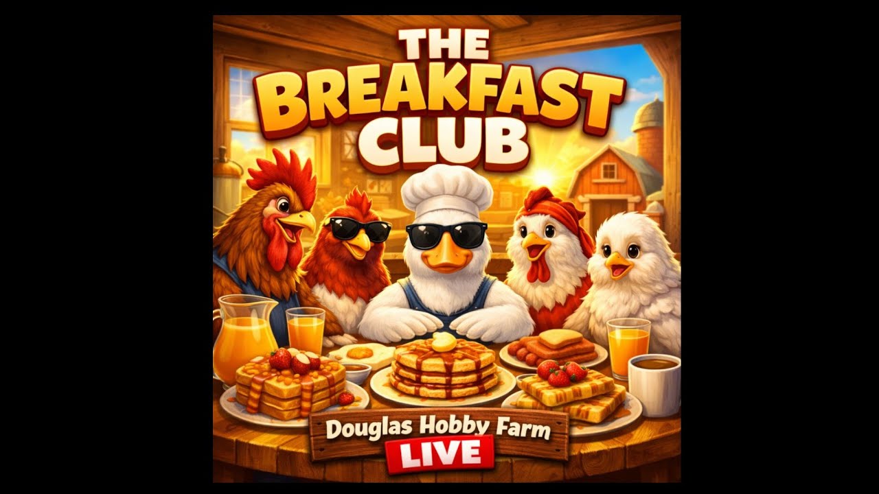 Tiny Raptor Breakfast Club