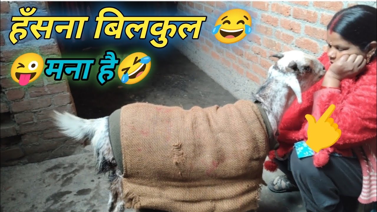 हँसना बिलकुल मना है।। 🤣😜👌