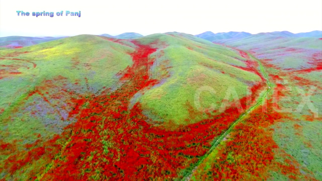БАХОРИ #ПАНЧ- THE SPRING OF #PANJ