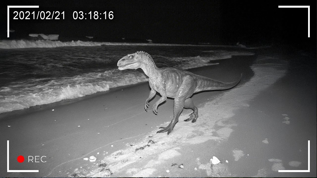 カメラが偶然捉えた…“絶滅したはずの生き物”の信じ難い瞬間33選