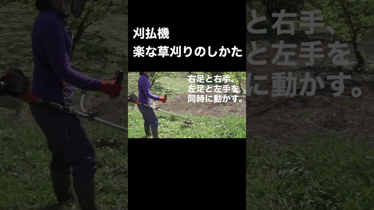 刈払機で楽な刈り方は？ #農業 #草刈り #shorts