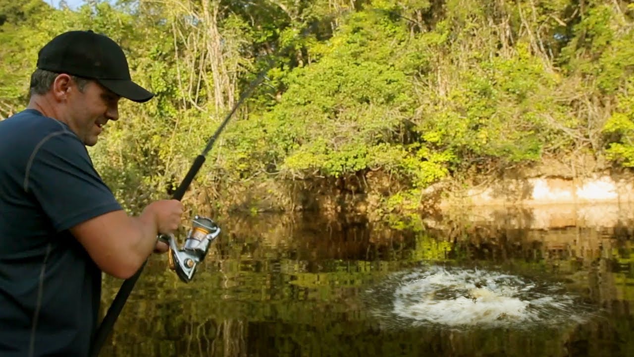 CES CRÉATURES D'AMAZONIE SONT SURPUISSANTES - Cyril Chauquet