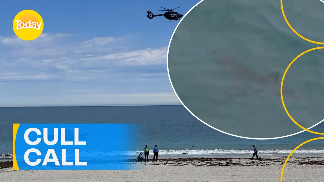 Authorities call for shark to be culled after swimmer's death | Today Show Australia