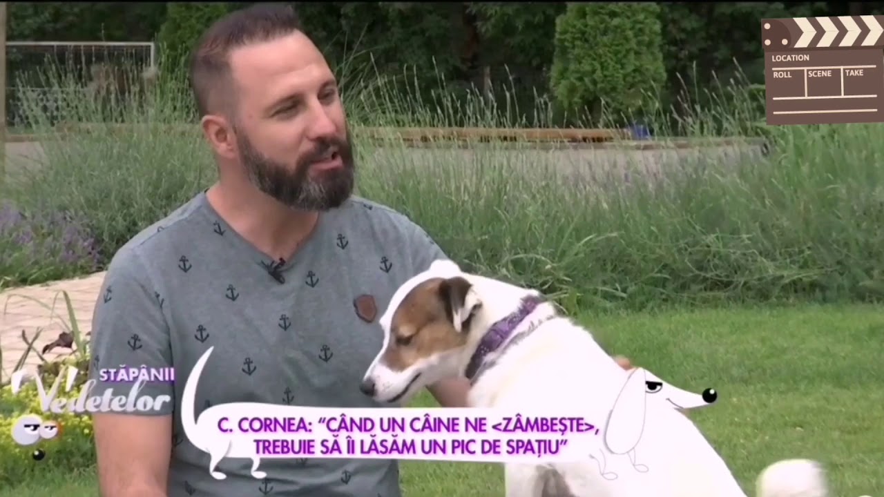 Ce înseamnă când "ne pupă" câinii?