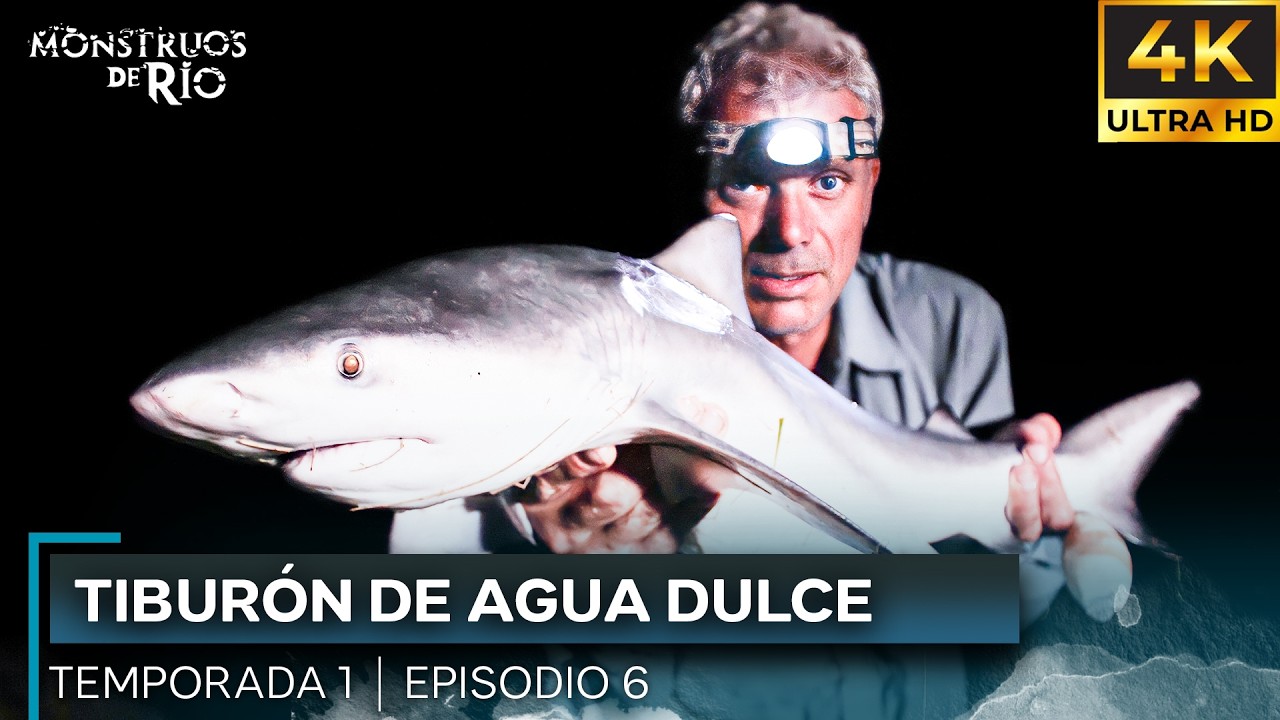 Tiburón de Agua Dulce | T1 E6 | Monstruos de Río | 4K |