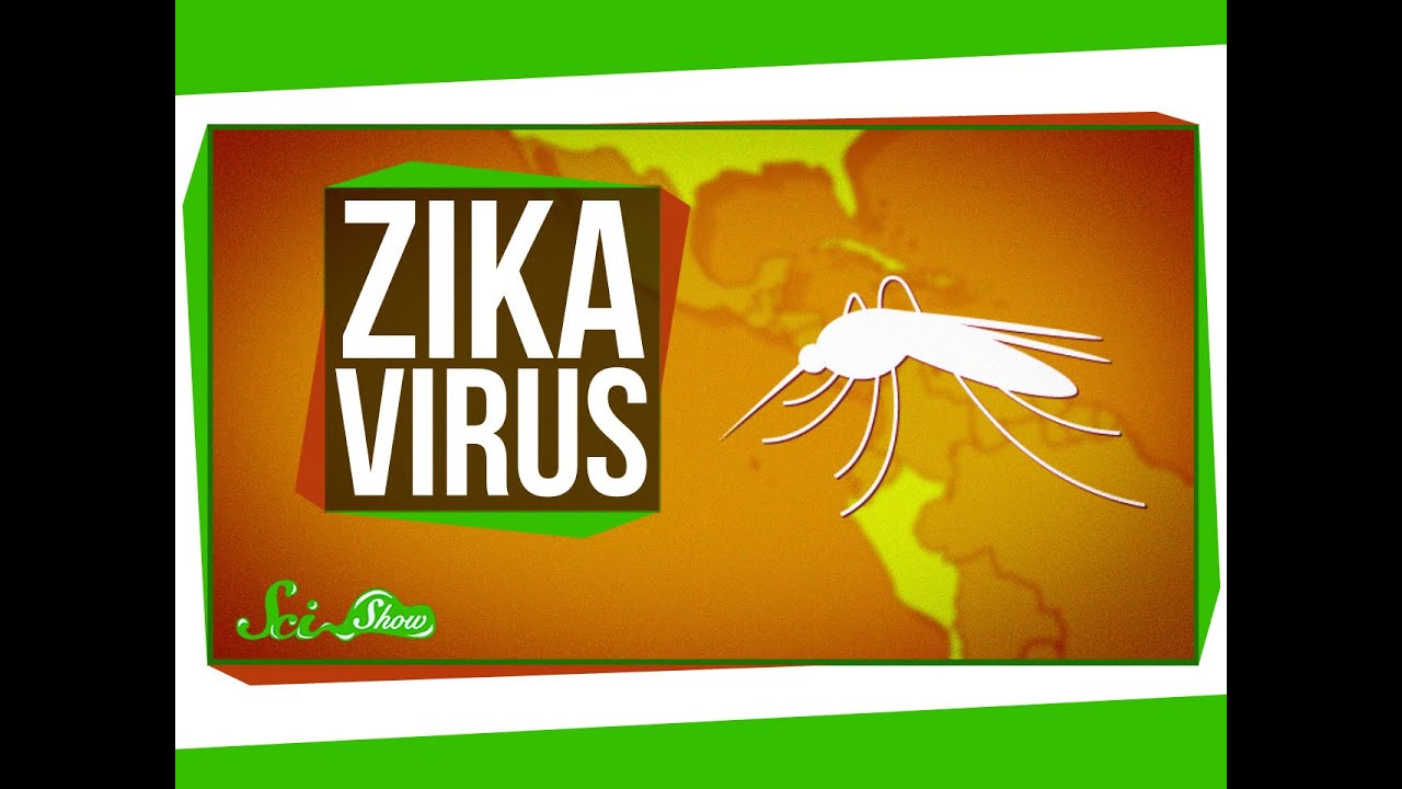 Zika Virus: What We Know (And What We Don't)