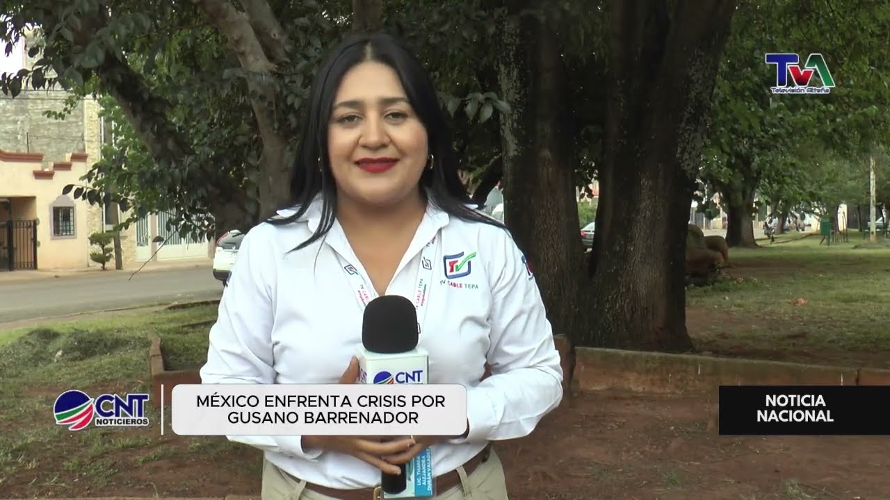 🐄 Plaga Ganadera Detiene Exportaciones a EE. UU. | Impacto en Veracruz y Nuevo Le&oacute;n