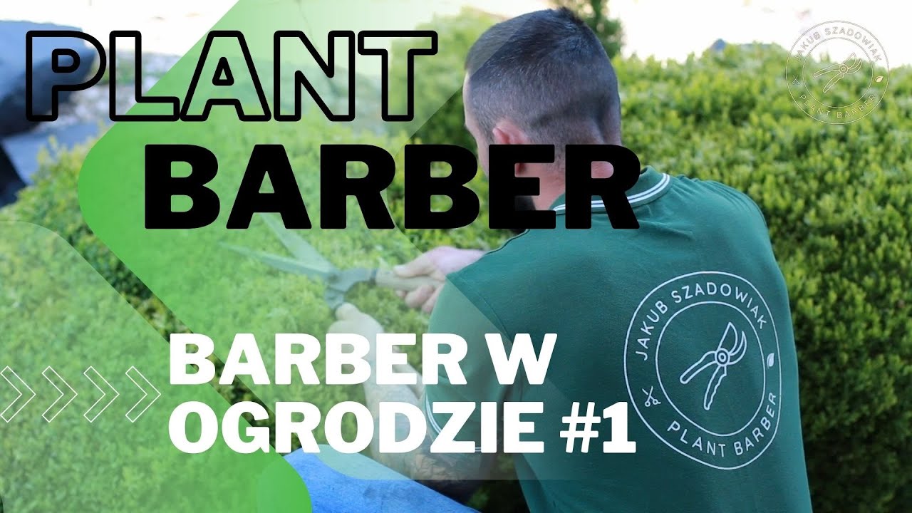 Barber w ogrodzie #1