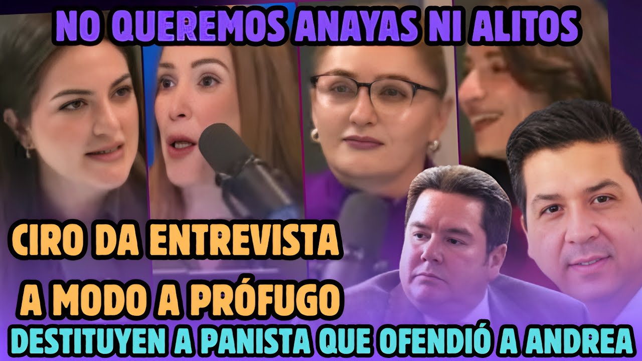 25 feb. Andrea defiende Reforma Electoral