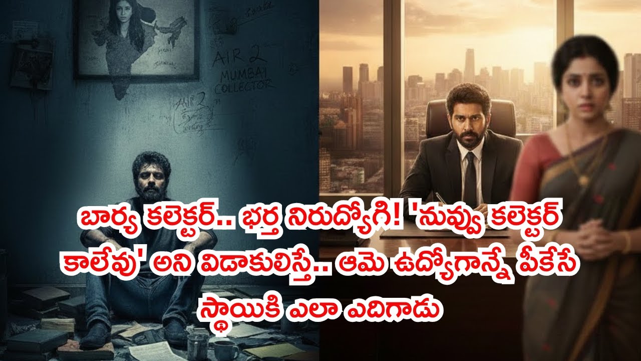 నువ్వు కలెక్టర్ కాలేవు అని విడాకులిచ్చిన భార్య కట్ చేస్తే ఆమె ఉద్యోగాన్నే పీకేసే స్థాయికి ఎదిగినభర్త