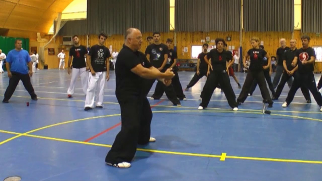 Makotokai Qi Gong - Iron Shirt