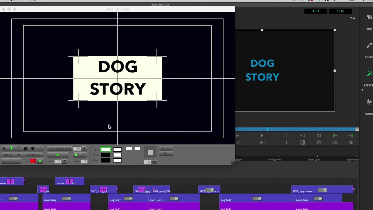 AVID EFFECTS TITLE