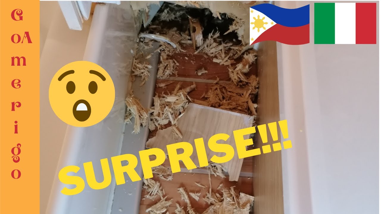 CHE DESASTRO!!! #43goamerigo #goamerigo #camperista