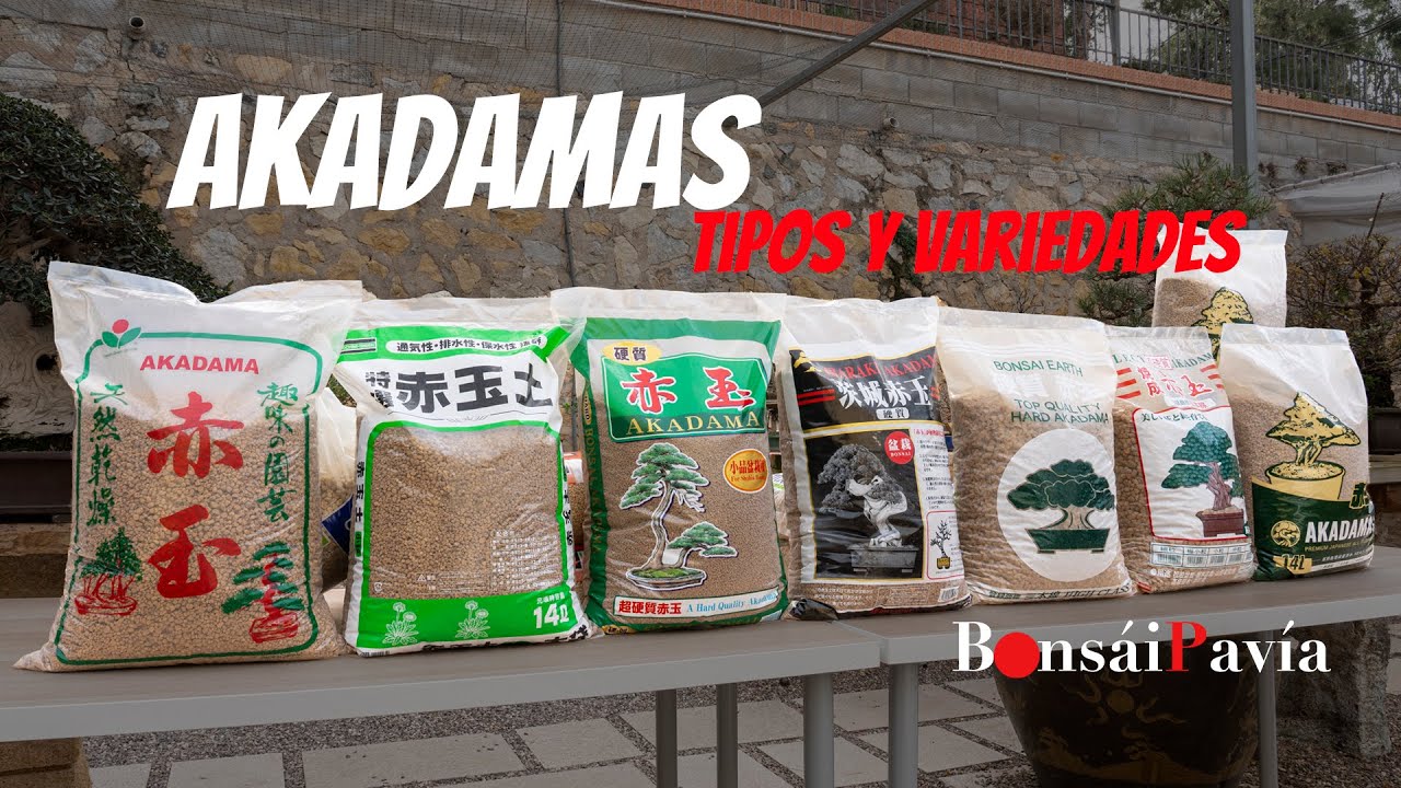 Nueva Akadama Cocida TOCHIGI