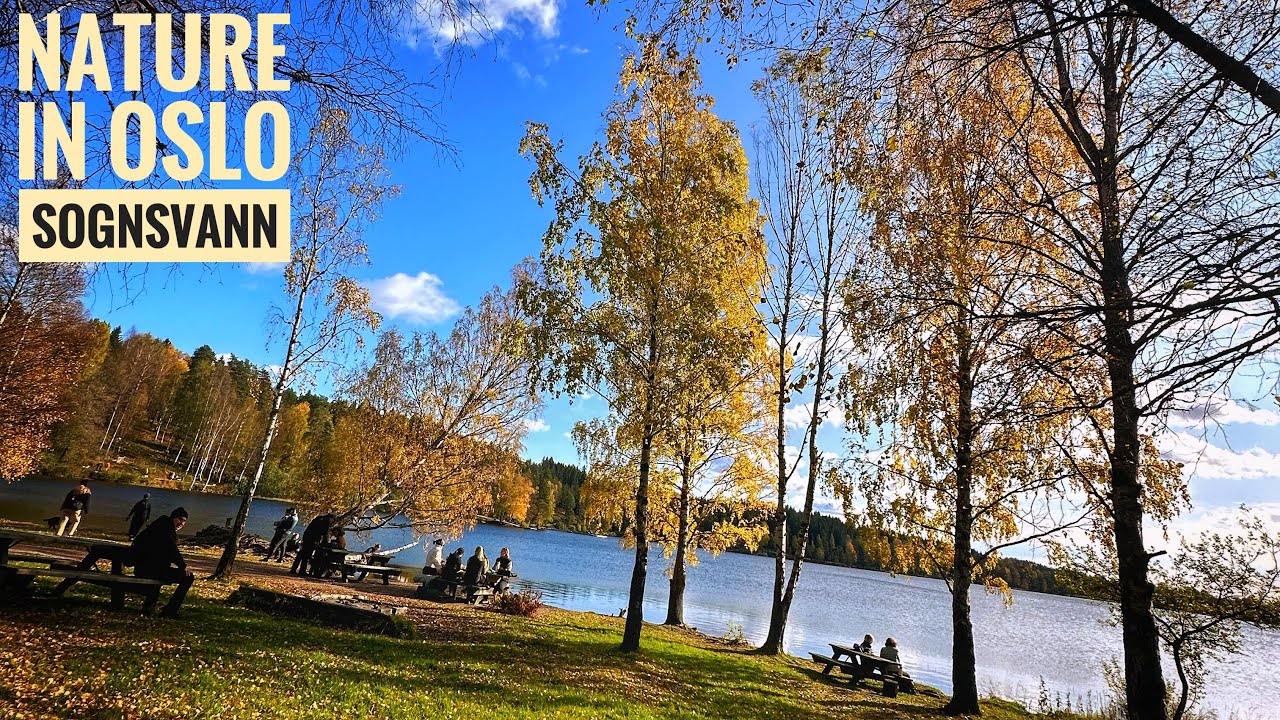 Oslo nature - SOGNSVANN lake, a place in nature for relaxation, sports and picnics , NORWAY , FPV